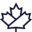 Quebec Express icon