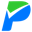 Paradigma icon
