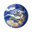 Diena icon