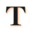 Tribuna de Campeche icon
