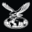 Xpress icon