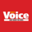 Daily Voice icon